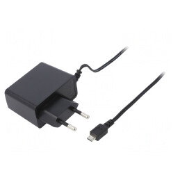 Alimentator Pulsatoriu 5VDC 2A 10W | Electronic-mag.ro | Componente Electronice
