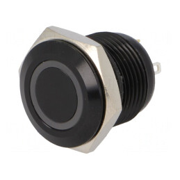 Comutator Anti-Vandalism IP65 24V SPST-NO | Electronic-mag.ro | Componente Electronice