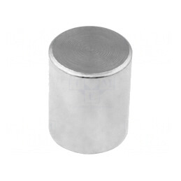 Magnet Neodim 20mm 2,5N 4mm Oțel