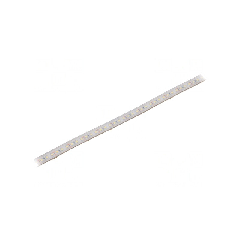 Bandă LED Alb Rece 12V IP65 | Electronic-mag.ro | Componente Electronice