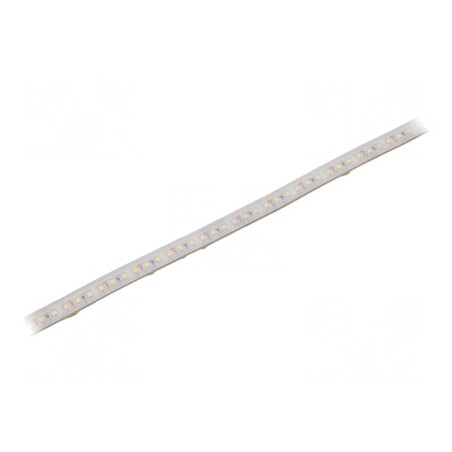 Bandă LED Alb Rece 12V IP65 | Electronic-mag.ro | Componente Electronice