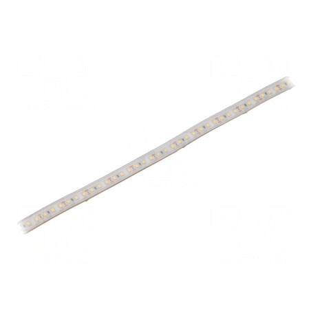 Bandă LED Neutră 12V 120LED/m IP65 | Electronic-mag.ro | Componente Electronice