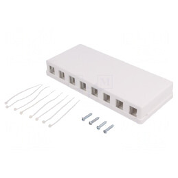 Soclu RJ45 Keystone Alb Murale Mamă | Electronic-mag.ro | Componente Electronice