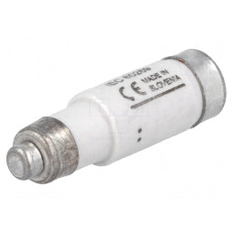 Siguranță gR Ardere Rapidă 10A 400VAC 250VDC D01 | Electronic-mag.ro | Componente Electronice