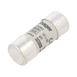 Siguranță cilindrică gG 20A 690VAC industrială | Electronic-mag.ro | Componente Electronice