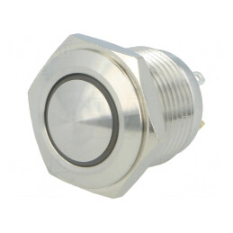 Comutator anti-vandalism alb 2A 36V IP65