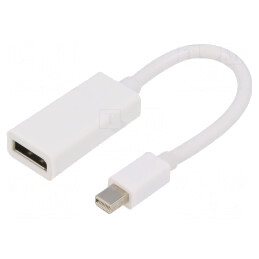 Adaptor DisplayPort 0,15m Alb | Electronic-mag.ro | Componente Electronice