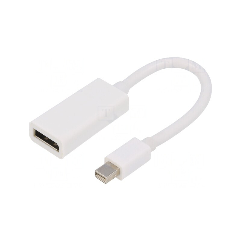 Adaptor DisplayPort 0,15m Alb | Electronic-mag.ro | Componente Electronice
