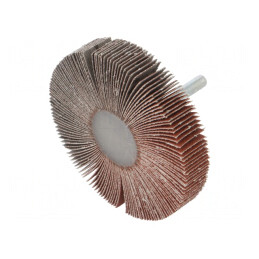 Ax Granularitate 120 cu Tijă 6mm și Ax Ø80x15mm | Electronic-mag.ro | Componente Electronice