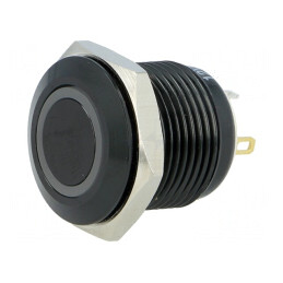 Comutator Anti-Vandalism 12V IP65 SPST-NO 2A/36VDC | Electronic-mag.ro | Componente Electronice