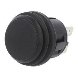 Comutator DPST 20A 14VDC Negru Acționare Prin Apăsare | Electronic-mag.ro | Componente Electronice