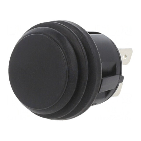 Comutator DPST 20A 14VDC Negru Acționare Prin Apăsare | Electronic-mag.ro | Componente Electronice