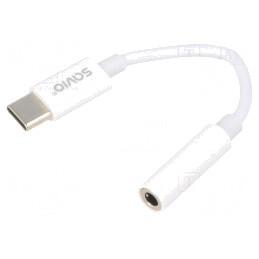 Cablu USB C la Jack 3,5mm Alb 0,11m