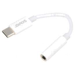 Cablu USB C la Jack 3.5mm 0.11m Alb