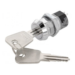 Întrerupător cu Cheie DPST 90° - 2 Pini | Electronic-mag.ro | Componente Electronice