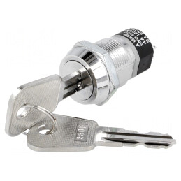 Întrerupător cu cheie DPST 2 Pini 90° | Electronic-mag.ro | Componente Electronice