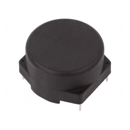 Inductor THT 22mH 500mA 20x30mm