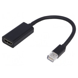 Adaptor Mini DisplayPort la HDMI DisplayPort 1.1 | Electronic-mag.ro | Componente Electronice