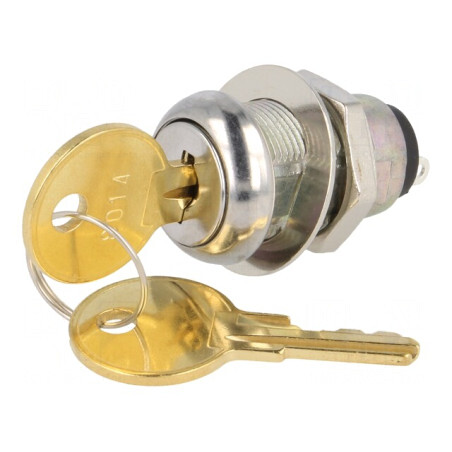 Întrerupător cu Cheie SPST 90° - 2 Pini | Electronic-mag.ro | Componente Electronice