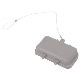 Capac Protecție Clichet Dublu E10 C146 | Electronic-mag.ro | Componente Electronice