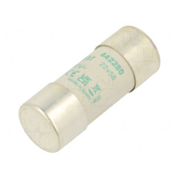 Siguranță aM 80A 500VAC 22x58mm | Electronic-mag.ro | Componente Electronice