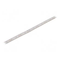 Bandă LED Alb Neutru 24V IP65 | Electronic-mag.ro | Componente Electronice