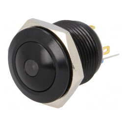 Comutator Anti-Vandalism SPST-NO 24V IP65 | Electronic-mag.ro | Componente Electronice
