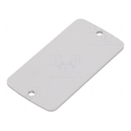 Panou Anterior Aluminiu 30.8mm x 59.9mm x 2mm | Electronic-mag.ro | Componente Electronice