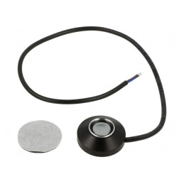 Button Memory Reader DS1920/DS1990A | Electronic-mag.ro | Componente Electronice