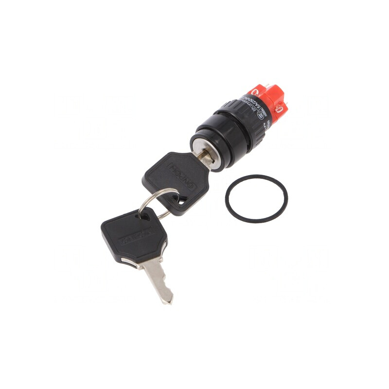 Întrerupător cu Cheie SPDT Ø16mm 2 Pini | Electronic-mag.ro | Componente Electronice