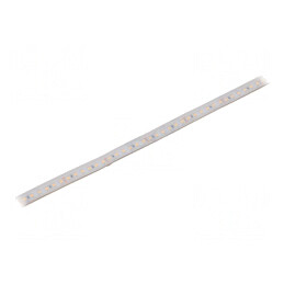 Bandă LED Alb Cald 24V IP65 | Electronic-mag.ro | Componente Electronice