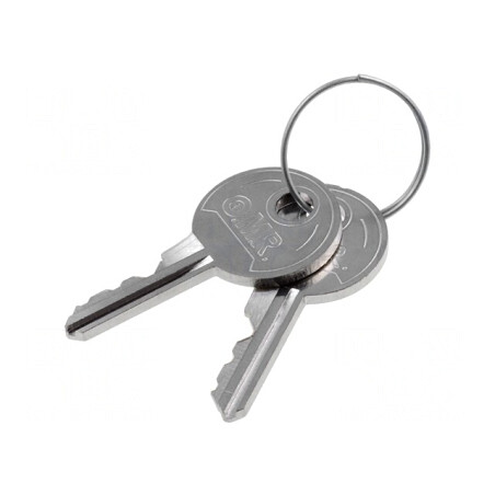 Chei de Rezervă pentru FS | Electronic-mag.ro | Componente Electronice