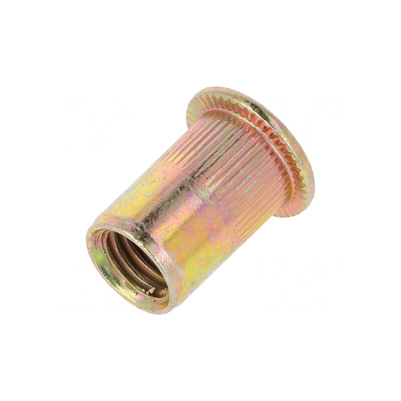 Piuliță nit M10 oțel 12.8mm 21mm cap plată | Electronic-mag.ro | Componente Electronice Piuliță nit M10 oțel 12.8mm 21mm cap plată | Electronic-mag.ro | Componente Electronice