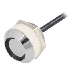 Button Memory Reader DS1920/DS1990A | Electronic-mag.ro | Componente Electronice