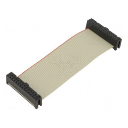 '26-Pin QF50 Ribbon Cable Assembly 100mm' | Electronic-mag.ro | Componente Electronice