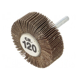 Ax Granularitate 120 cu Tijă 6mm și Ax Ø60x20mm | Electronic-mag.ro | Componente Electronice