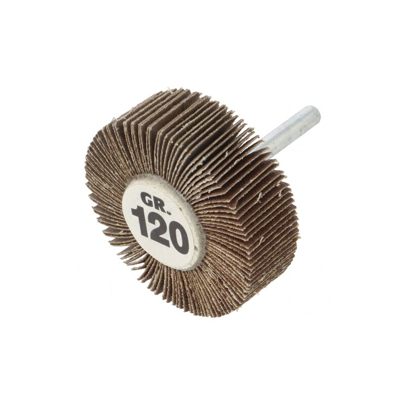 Ax Granularitate 120 cu Tijă 6mm și Ax Ø60x20mm | Electronic-mag.ro | Componente Electronice
