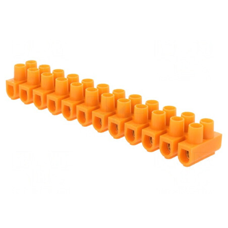 Regletă Conexiuni Terminale cu Șurub 10mm2 57A 12 Piste | Electronic-mag.ro | Componente Electronice