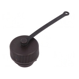 Capac Protecție Filet Exterior RD24 | Electronic-mag.ro | Componente Electronice