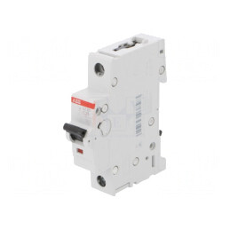 Întrerupător de supracurent 230V 25A 1P C | Electronic-mag.ro | Componente Electronice