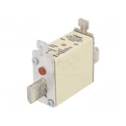 Siguranţă gG 50A 500VAC Industrial NH000 | Electronic-mag.ro | Componente Electronice