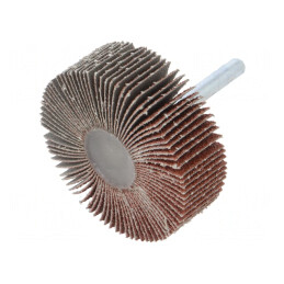 Ax Granularitate 60 cu Tijă 6mm, Ø60x20mm | Electronic-mag.ro | Componente Electronice