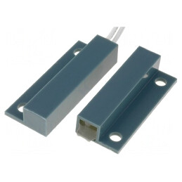 Senzor Reed cu Cablu 0,25m, Rază 23mm | Electronic-mag.ro | Componente Electronice