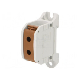 Terminal de Îmbinare pentru Șine 50mm2 1 Pista 2 Borne Maro | Electronic-mag.ro | Componente Electronice