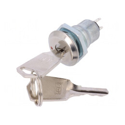 Întrerupător cu Cheie SPST 90° 2 Pini | Electronic-mag.ro | Componente Electronice