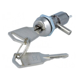 Întrerupător cu cheie SPST 90° 2 Pini | Electronic-mag.ro | Componente Electronice