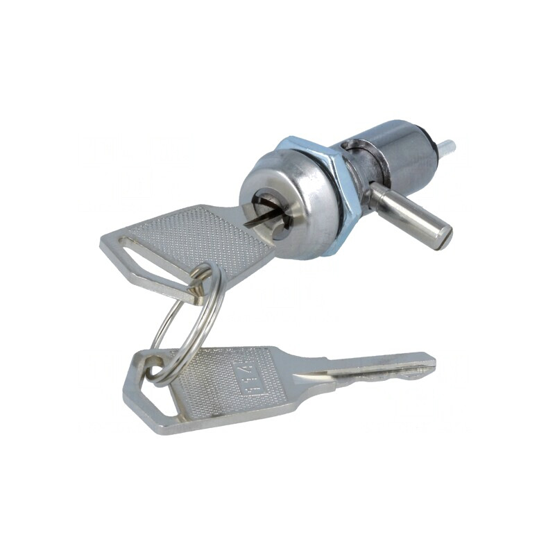 Întrerupător cu cheie SPST 90° 2 Pini | Electronic-mag.ro | Componente Electronice