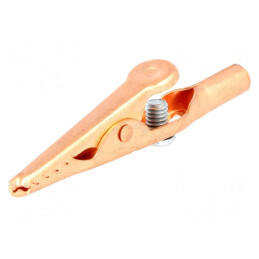 Bornă Crocodil 10A 70VDC Terminal Șurub | Electronic-mag.ro | Componente Electronice