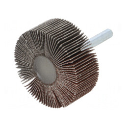 Ax Granularitate 120 cu Tijă 6mm și Ax Ø50x20mm | Electronic-mag.ro | Componente Electronice