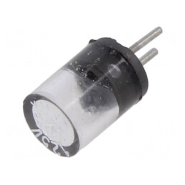 Siguranță Ultra-Rapidă 250mA 125V | Electronic-mag.ro | Componente Electronice